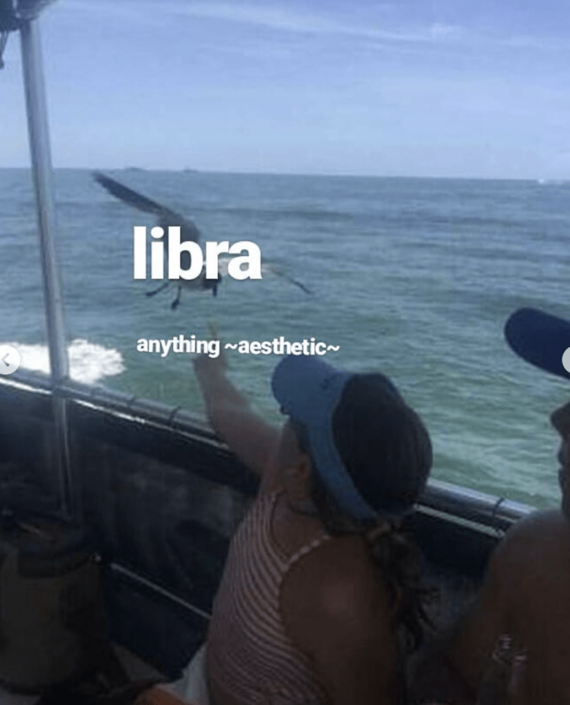 Libra meme: love aesthetics