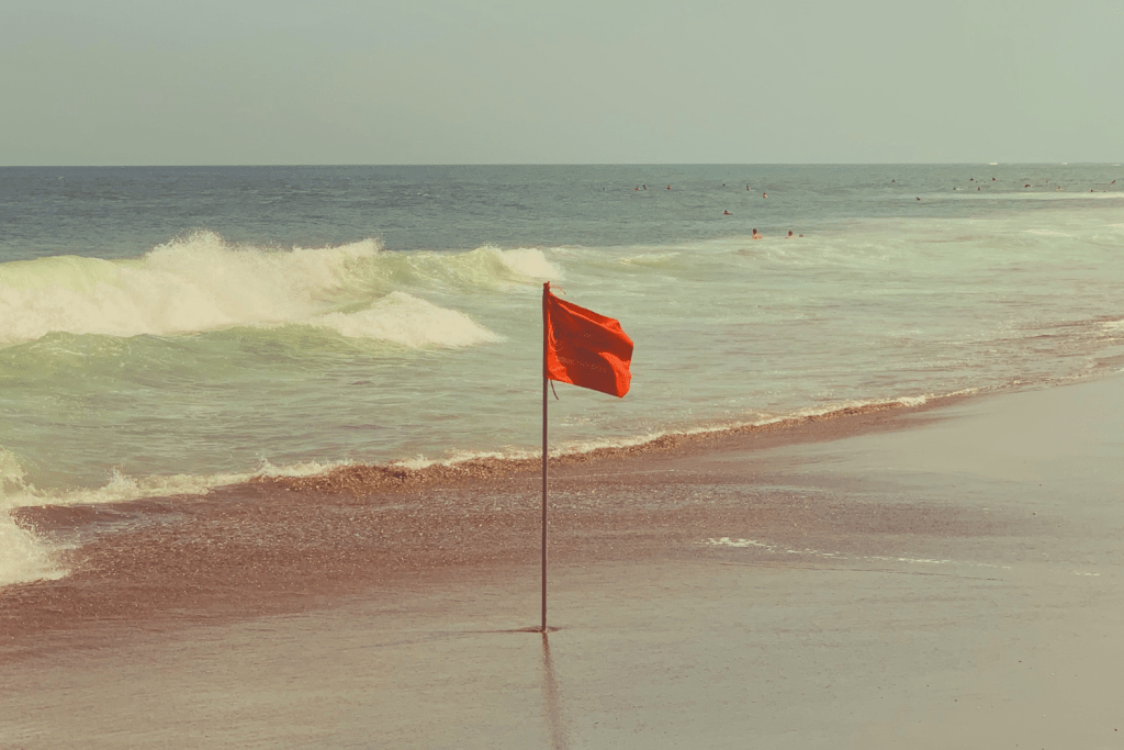 Leo red flags