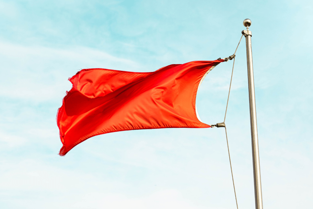 21 Leo red flags