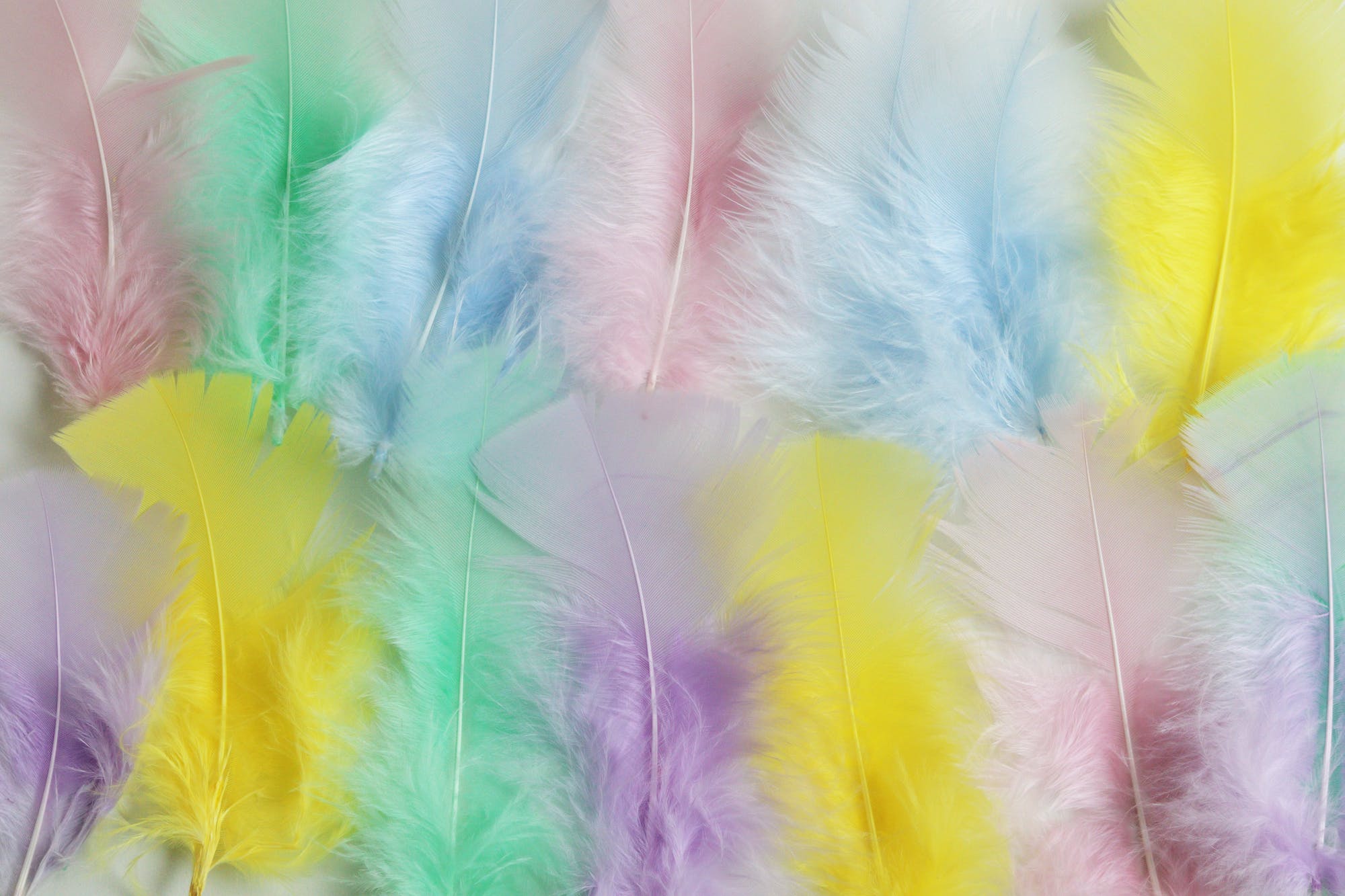 Power Colors of the Zodiac Signs