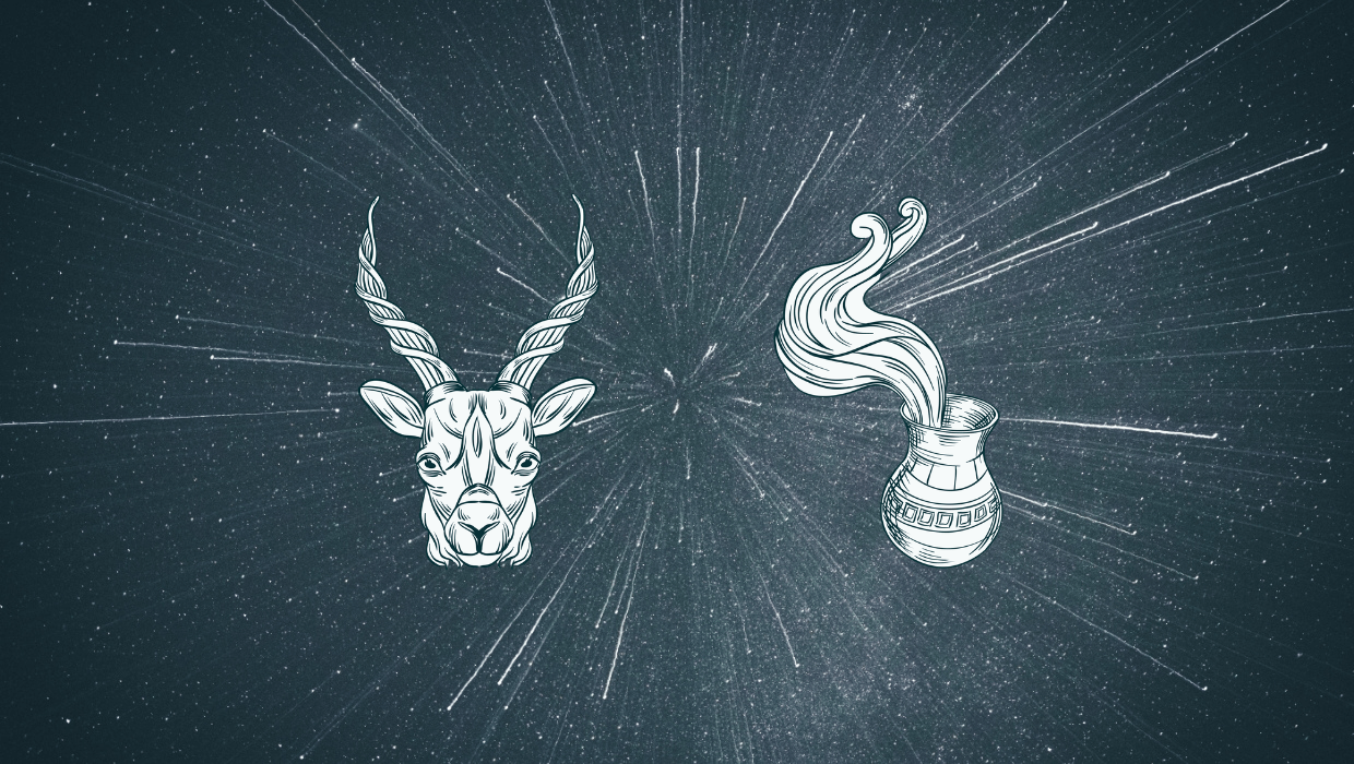 January zodiac sign