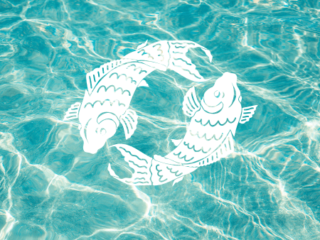 February 20 zodiac sign symbol
