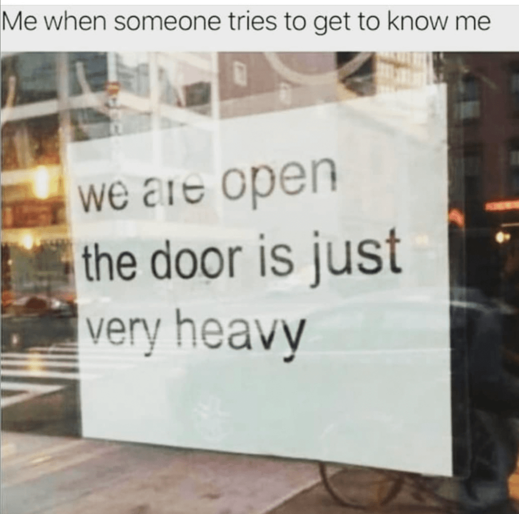 INFJ Meme - Private