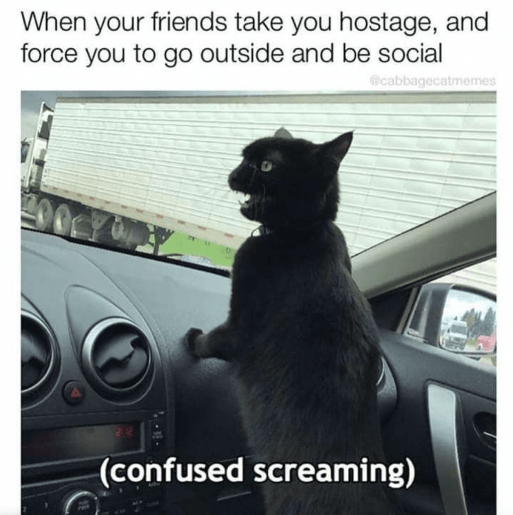When your friend takes you hostage and force you to go outside and be social