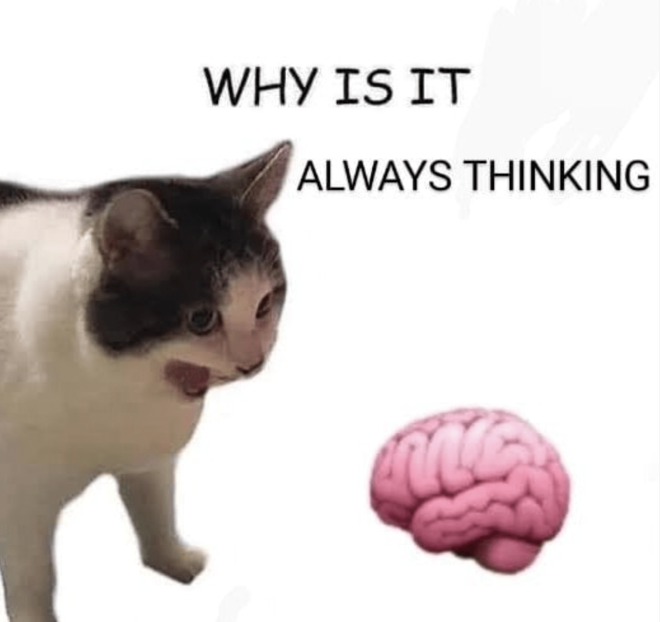 why is it always thinking meme funny overthinking
