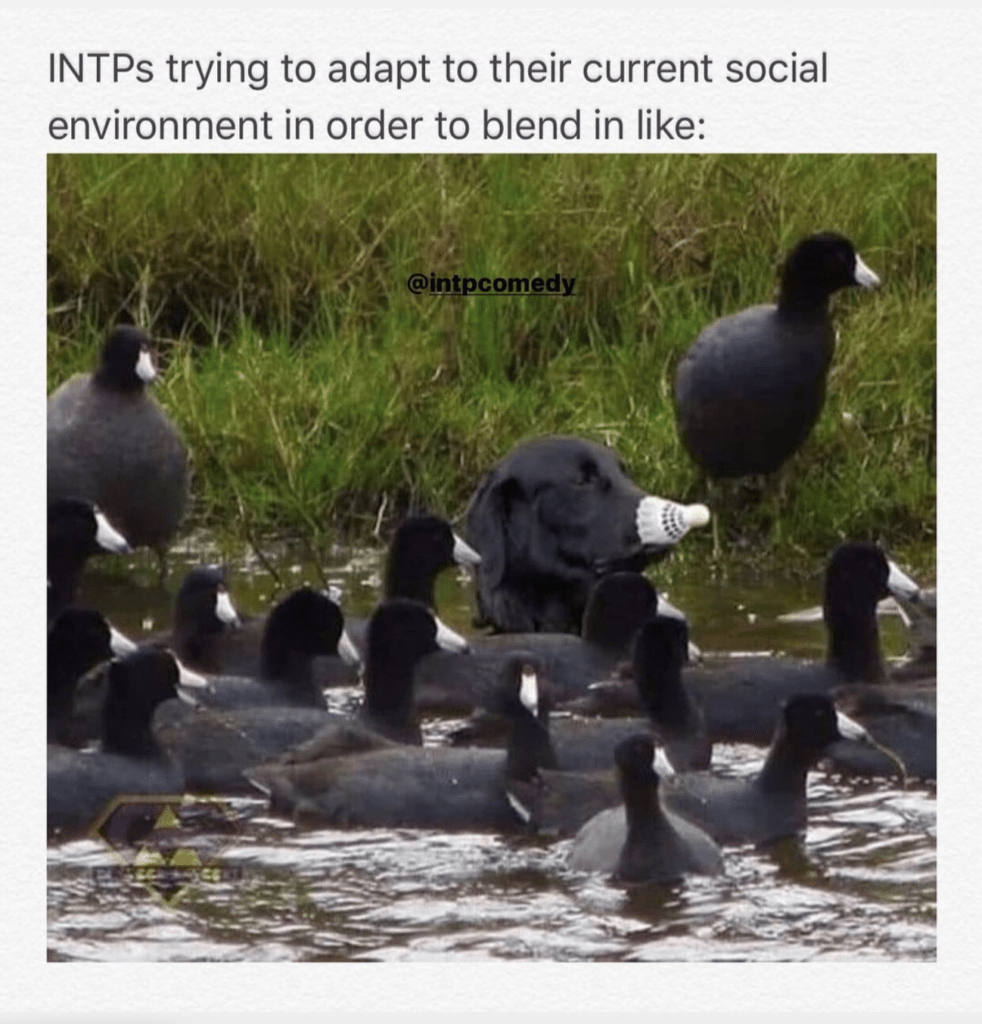 trying to blend into social environment funny meme INTP