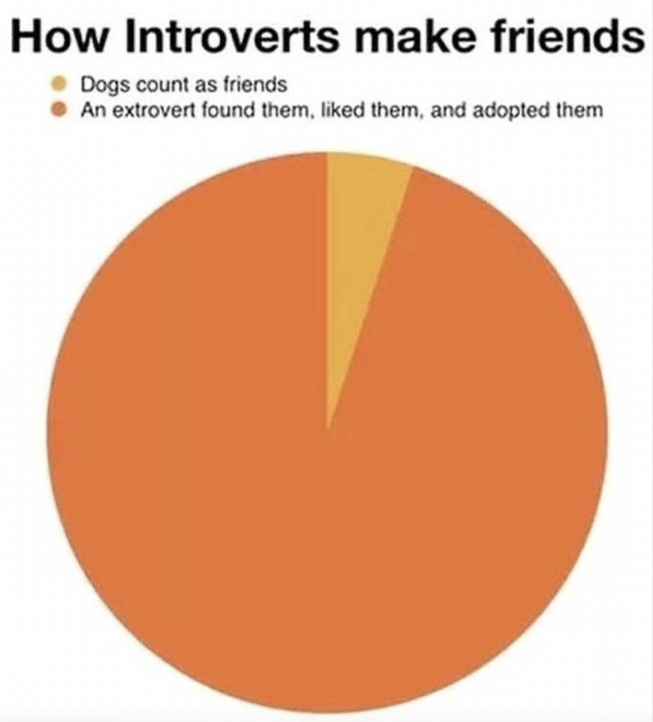 INTP meme introverts making friends with extroverts and dogs
