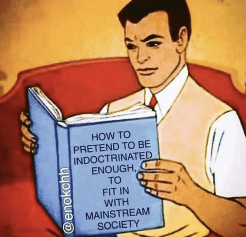 how to appear normal meme