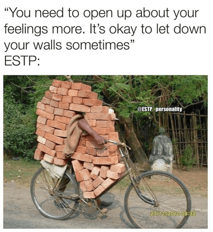 ESTP Meme - emotionally unavailable