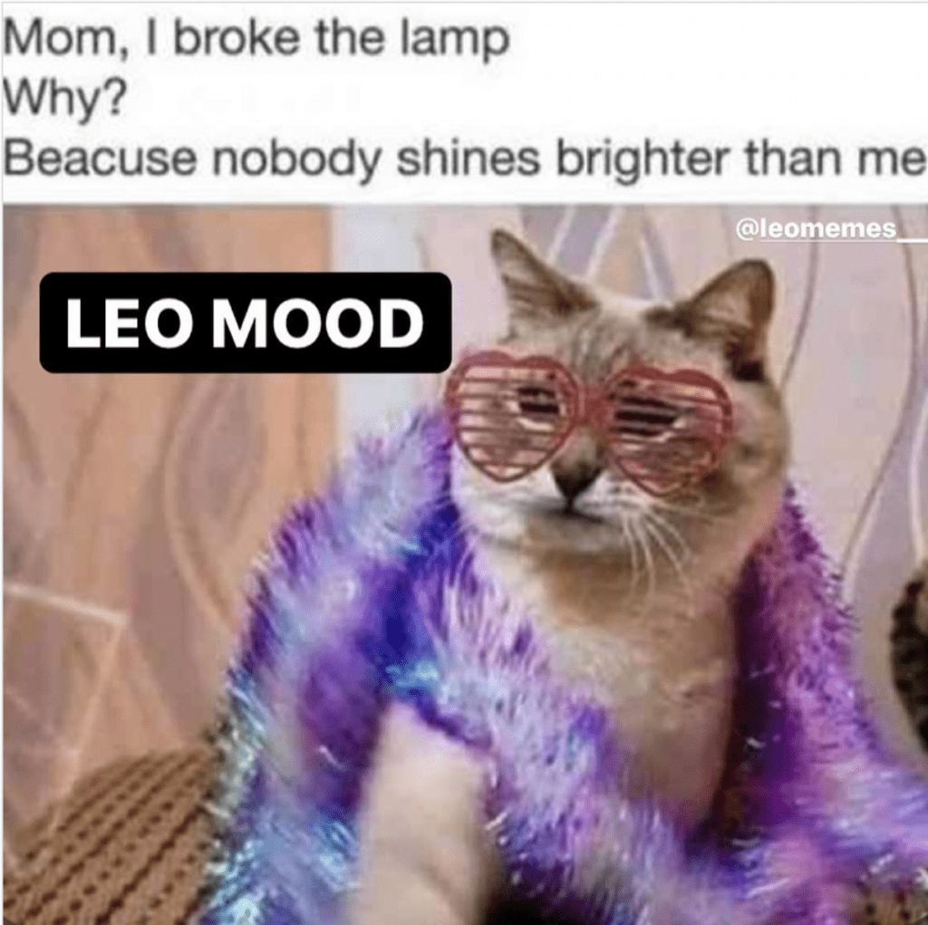 Zodiac meme: Leo confident